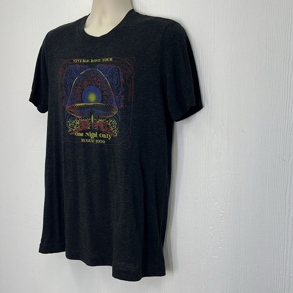 Bella & Canvas - Vintage Dave Tour One Night Only Graphic Dark Gray T Short LG - Picture 5 of 9